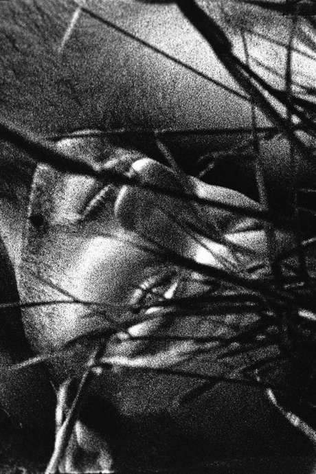 The Urine Crazed Corpse Catchers